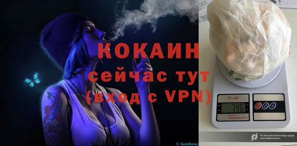 стафф Новокубанск
