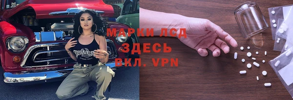 стафф Новокубанск