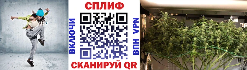 магазин  наркотиков  Бавлы  Шишки марихуана White Widow 